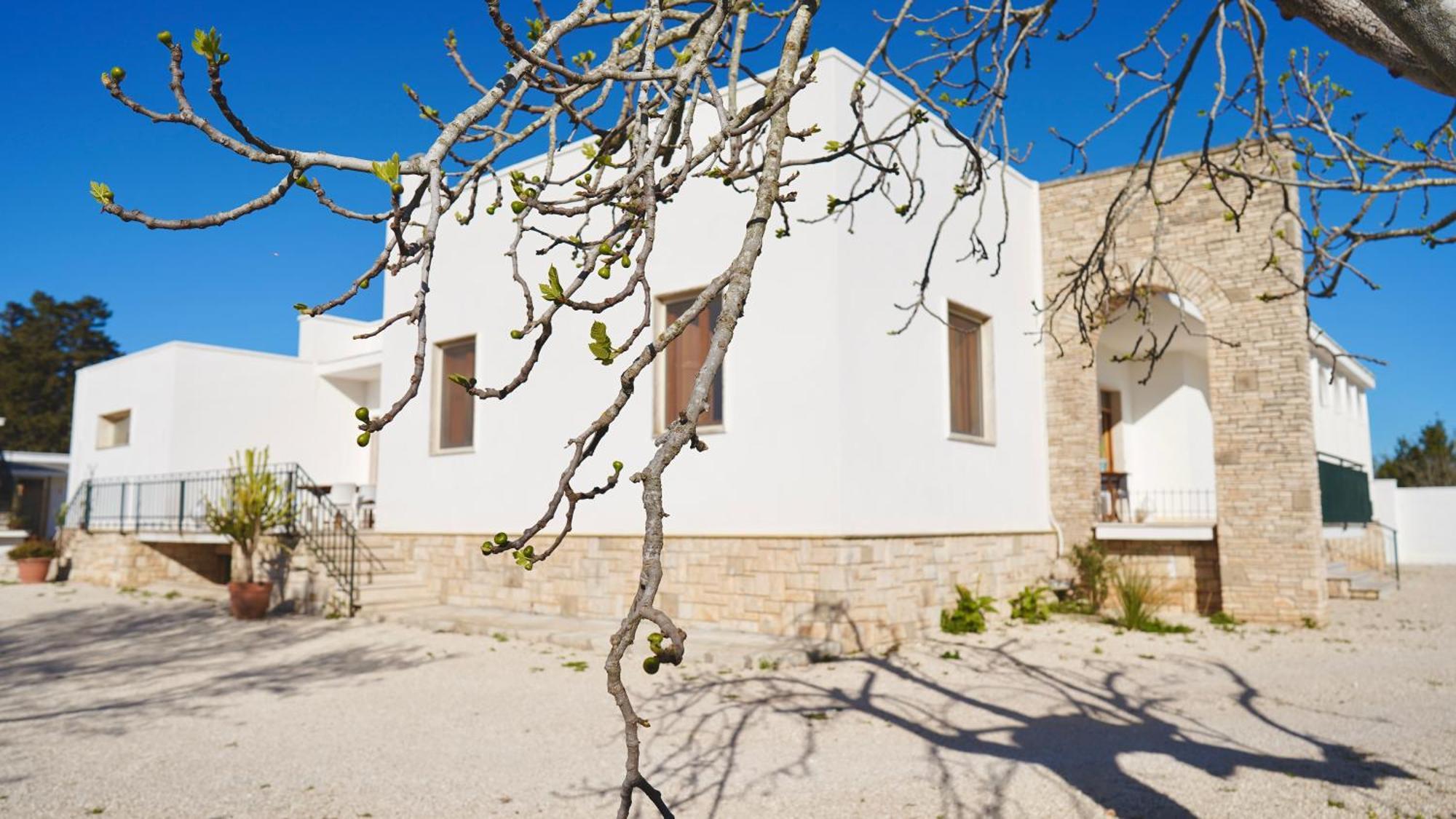 Villa Mia San Ligorio المظهر الخارجي الصورة